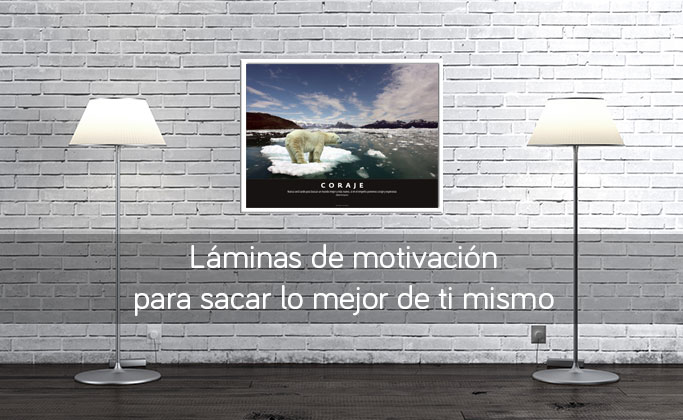 Human Quality: lminas de motivacin