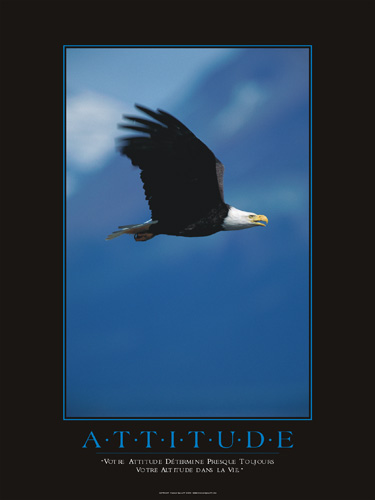 Votre attitude d�termine presque toujours votre altitude dans la vie.