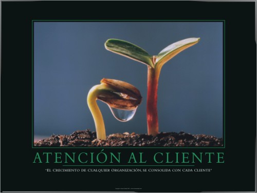 <DIV id=fraselamina>El crecimiento de cualquier organizaciÃ³n, se consolida con cada cliente.</DIV>