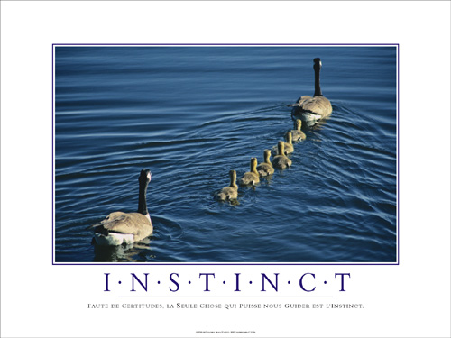 Faute de certitudes, la seule chose qui puisse nous guider est l�instinct.